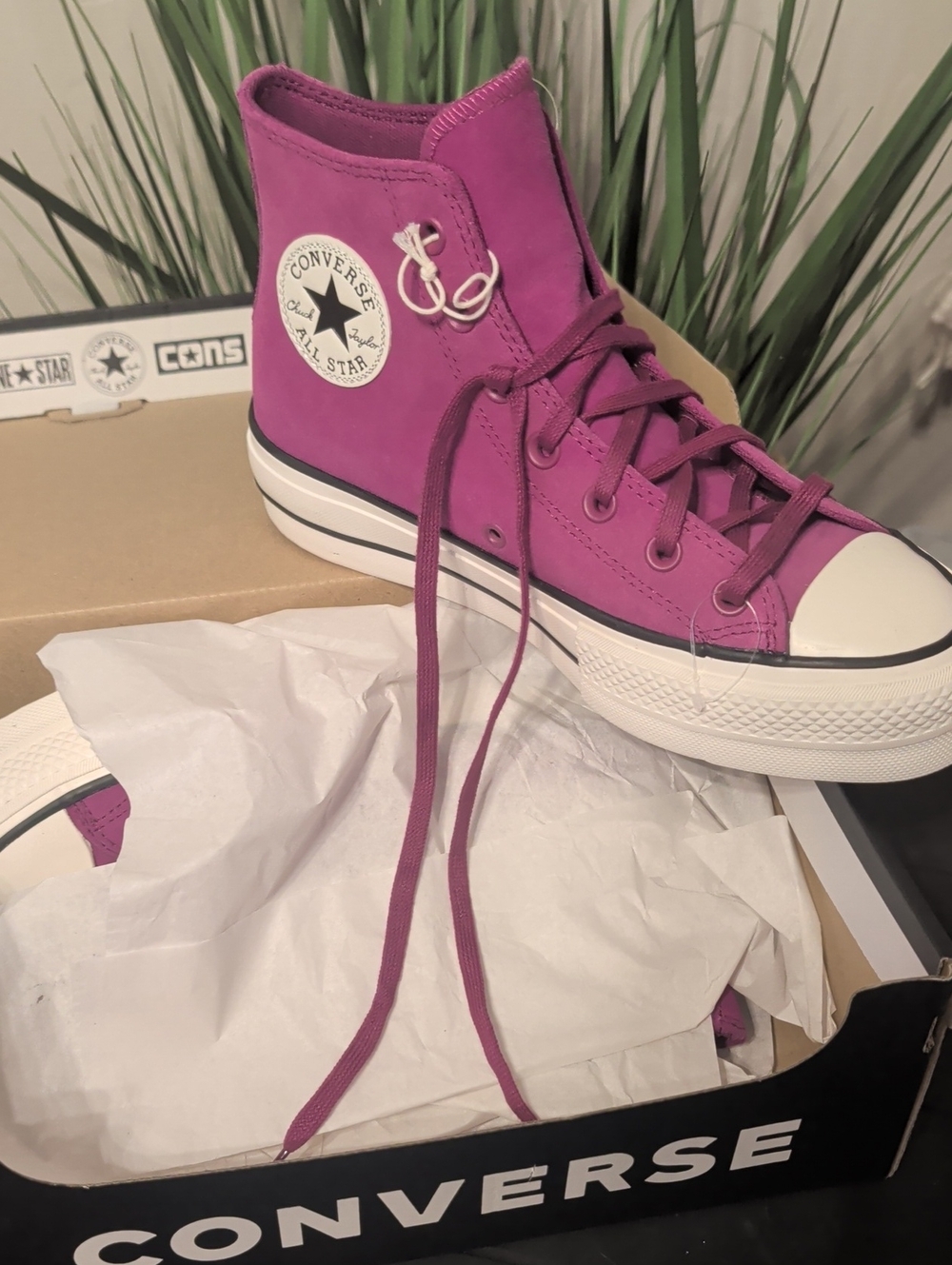 Converse.    New In Box.   Size 8 - Picture 3 of 3